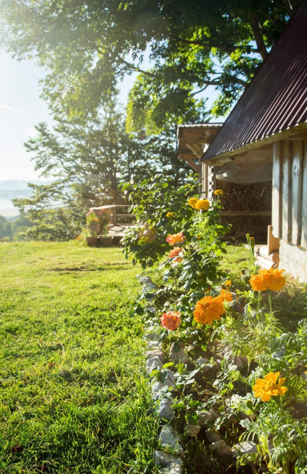 Maple Village Žabljak Exterior foto