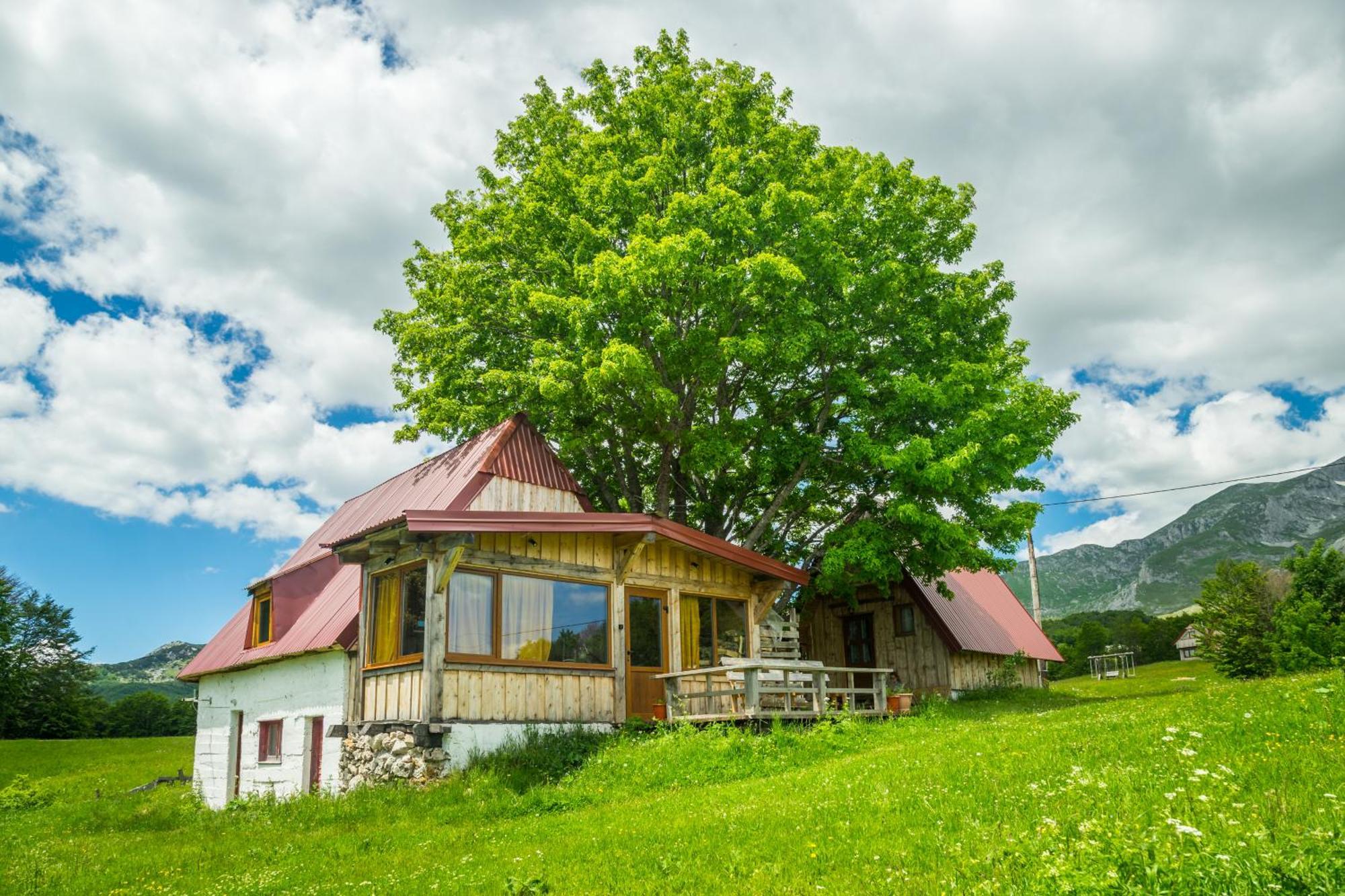 Maple Village Žabljak Exterior foto